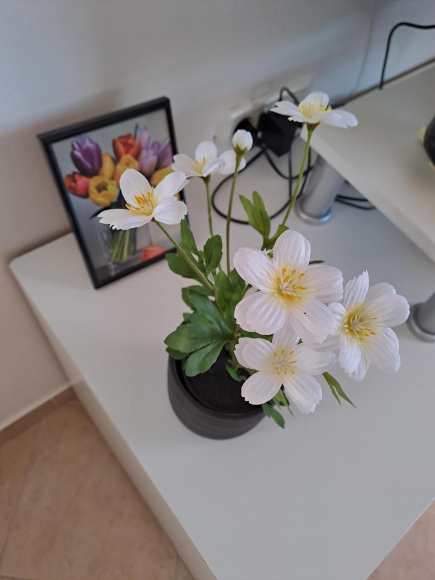 Apartman valbandon Fažana Exteriör bild